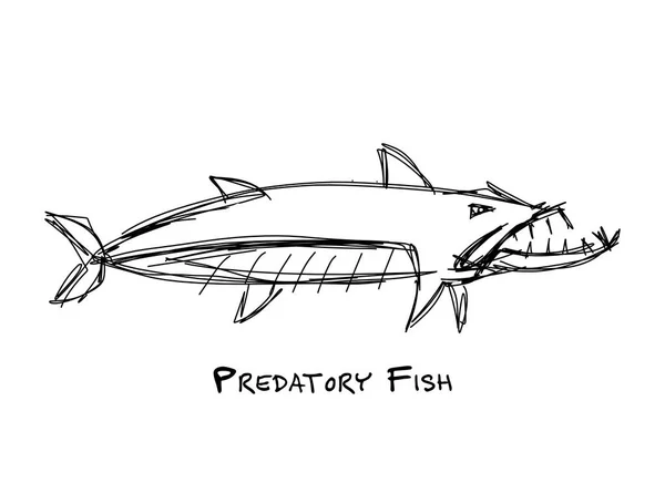 Barracuda pesce per il vostro disegno — Vettoriale Stock