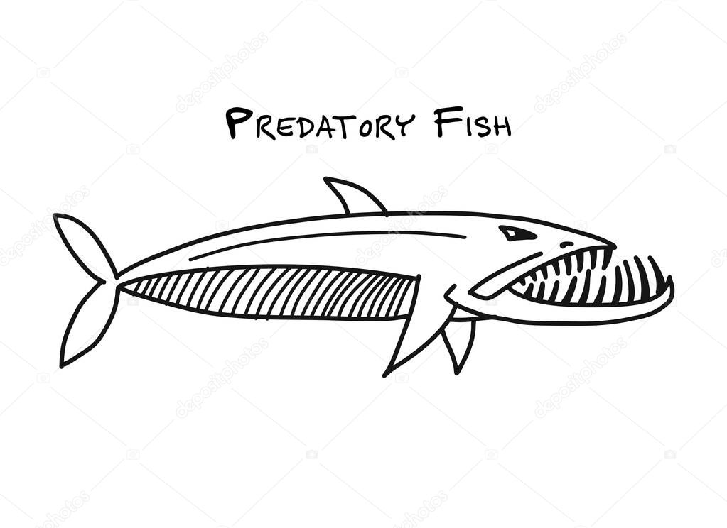 Barracuda fish for your design. Vector illustration