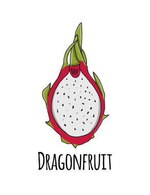 Dragonfruit, tasarım için kroki