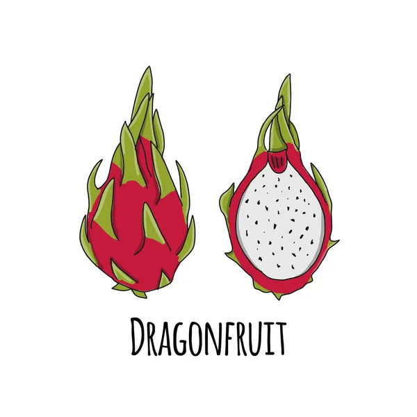 Dragonfruit, skiss för din design — Stock vektor