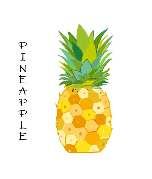 Ananas färgglada, skiss för din design — Stock vektor