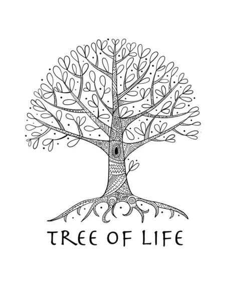 树与根为您的设计 — 图库矢量图片