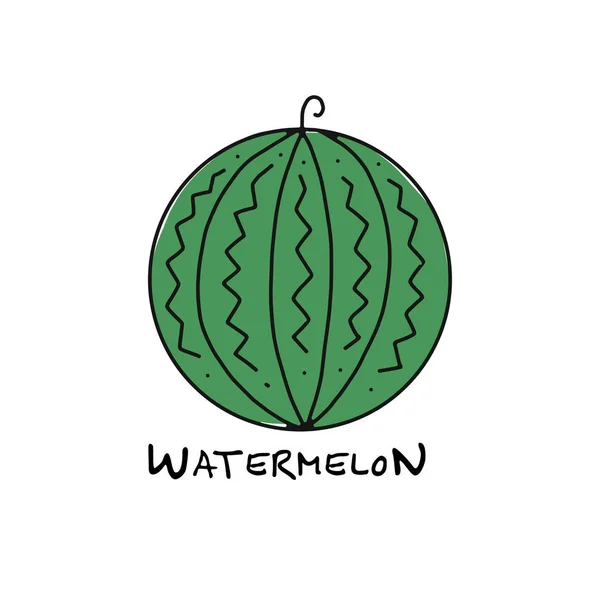 Watermelon, sketch for your design — Stock Vector