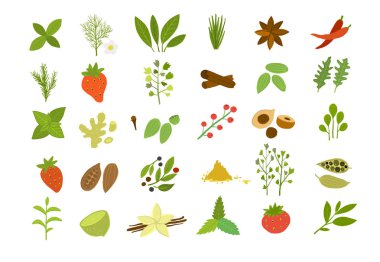 Baharat koleksiyonu, tasarımınız için çizim