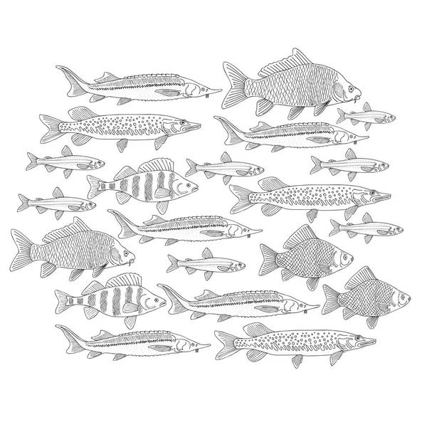 Collezione di pesci, disegno da colorare per il tuo design — Vettoriale Stock