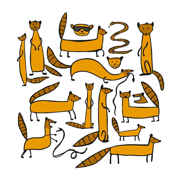 Komik firavun faresi, tasarım için kroki