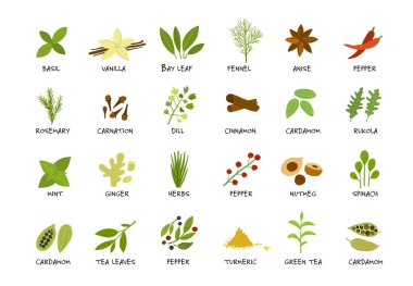 Baharat koleksiyonu, tasarımınız için çizim