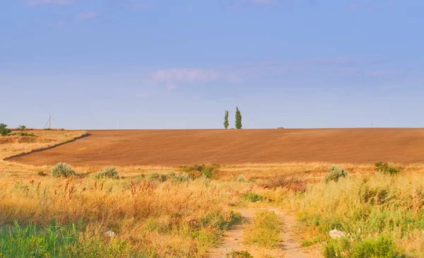 Paisaje verano — Foto de Stock