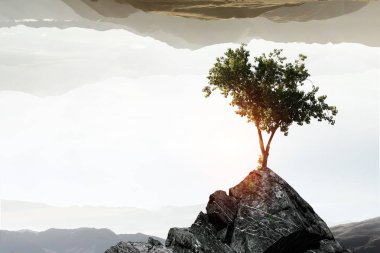 Yalnız ağaç kaya üstte. Karışık teknik