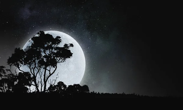 満月の背景 — ストック写真