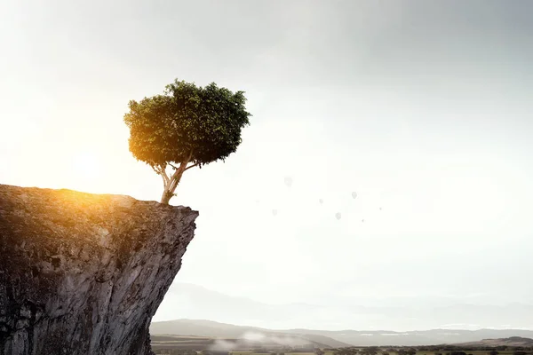 Einsamer Baum auf Felswand. Gemischte Medien — Stockfoto