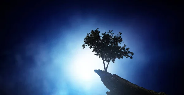 Albero solitario sulla cima della roccia. Mezzi misti — Foto Stock