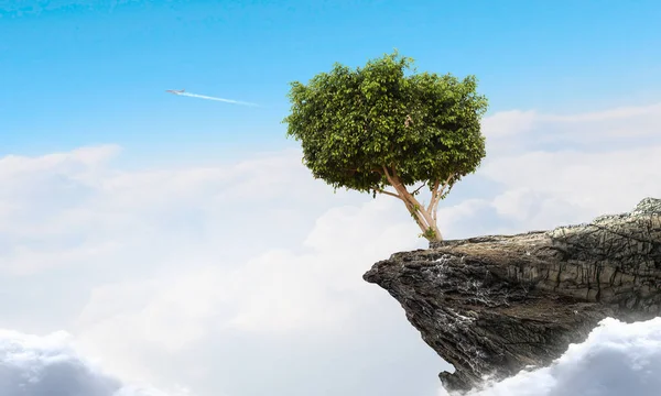 Ensamt träd på rock toppen. Mixed media — Stockfoto