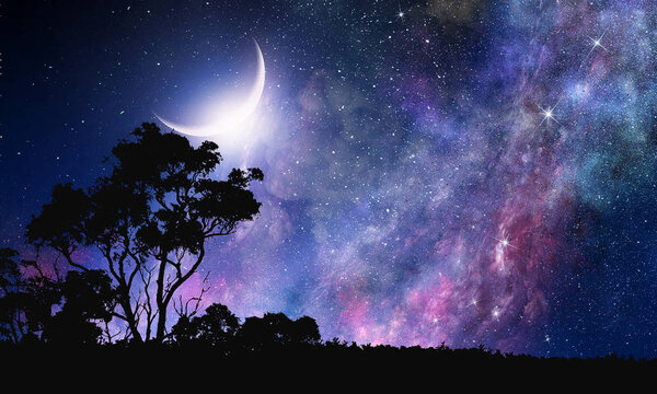 Background picturesque image of night forest and starry sky