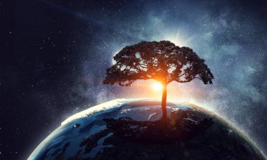 Gecede yalnız ağaç