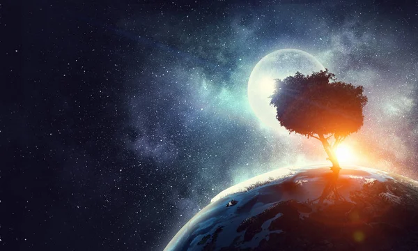 Einsamer Baum in der Nacht — Stockfoto