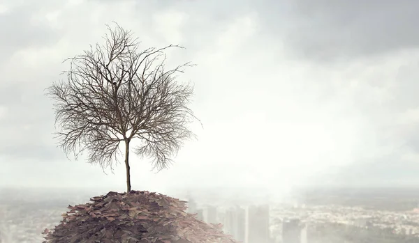 Llega el otoño. Medios mixtos — Foto de Stock