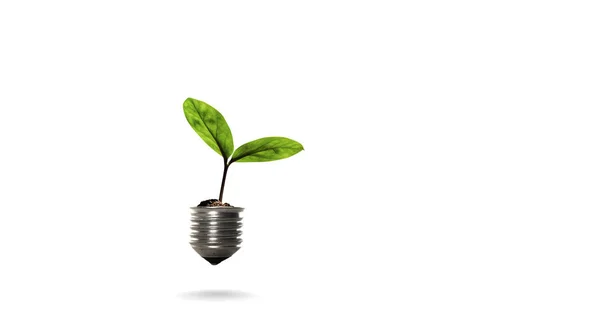 Green energy concept — Stock Photo, Image