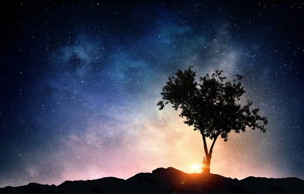 Eenzame boom in de nacht — Stockfoto