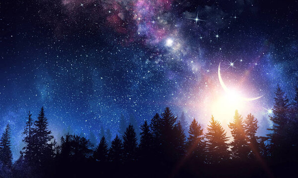 Background picturesque image of night forest and starry sky