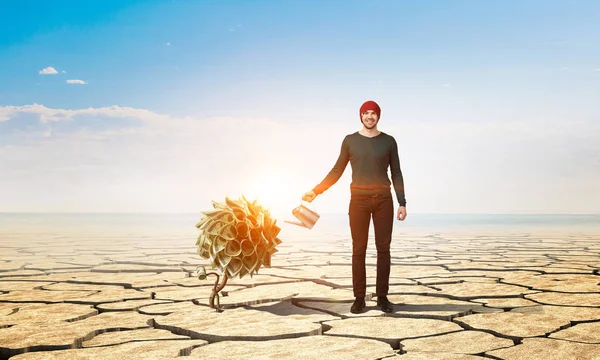 Lassen Sie Ihr Einkommen wachsen. Gemischte Medien — Stockfoto