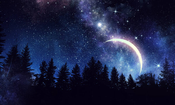 Background picturesque image of night forest and starry sky