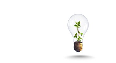 Yeşil enerji kavramı