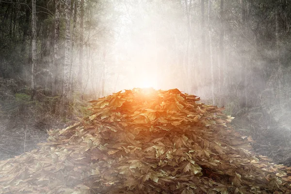 Het is herfst tijd — Stockfoto