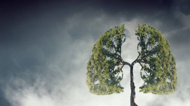 Sonbahar geliyor. Karışık teknik