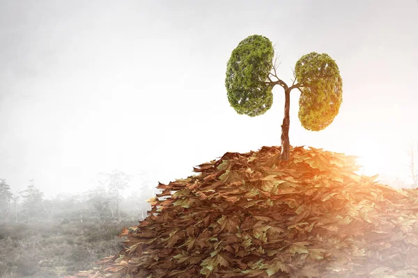 Llega el otoño. Medios mixtos — Foto de Stock