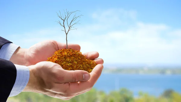 Hösten kommer — Stockfoto