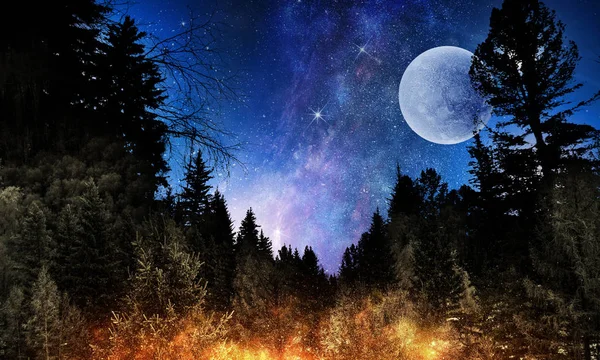 Lua cheia no céu estrelado de noite — Fotografia de Stock