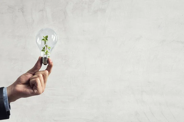 Concepto de energía verde —  Fotos de Stock