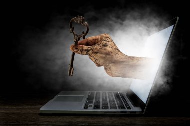 Internet güvenlik anlayışı. Karışık teknik