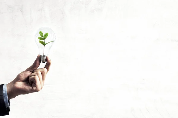 Concepto de energía verde —  Fotos de Stock