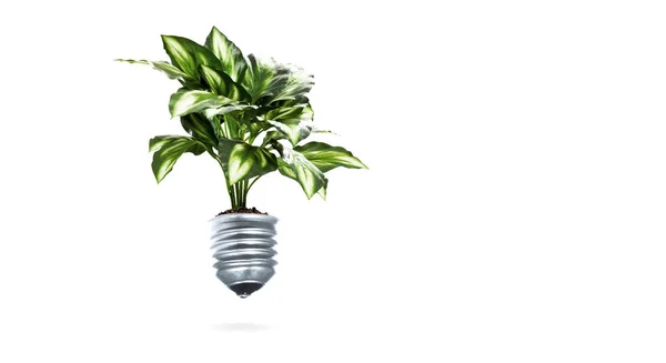 Green energy concept — Stock Photo, Image