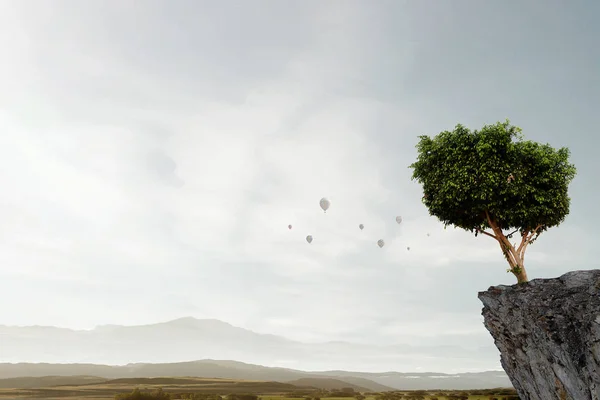 Árbol solitario en la roca. Medios mixtos — Foto de Stock