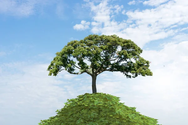 Llega el otoño. Medios mixtos — Foto de Stock