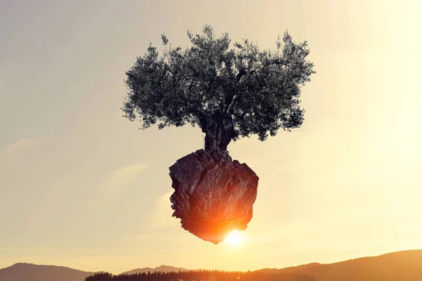 Lonely tree on rock top. Mixed media — Stock Photo, Image