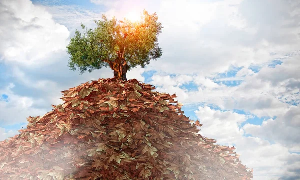 Der Herbst naht. Gemischte Medien — Stockfoto