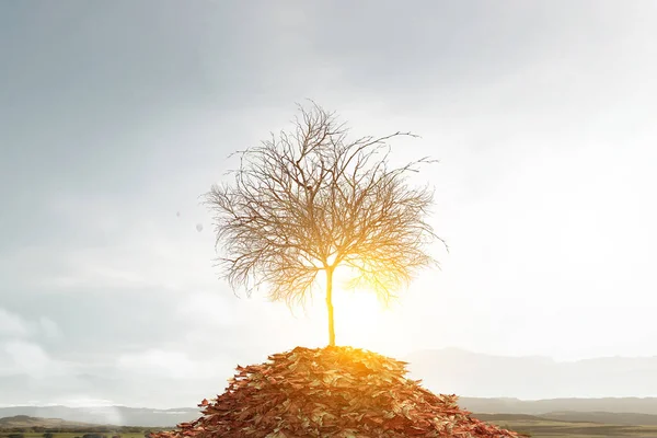 Der Herbst naht. Gemischte Medien — Stockfoto