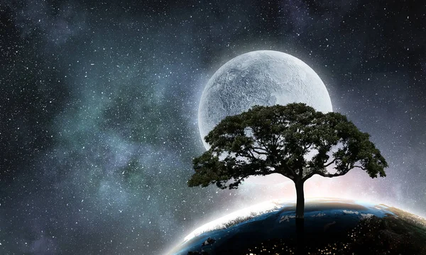 Ensamt träd i natt — Stockfoto