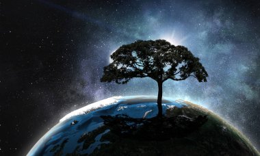 Gecede yalnız ağaç