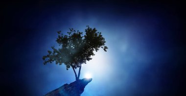 Yalnız ağaç kaya üstte. Karışık teknik