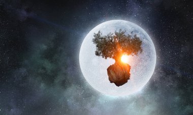 Yalnız ağaç kaya üstte. Karışık teknik