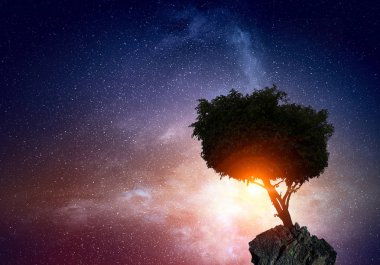 Yalnız ağaç kaya üstte. Karışık teknik