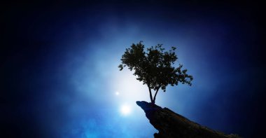 Yalnız ağaç kaya üstte. Karışık teknik