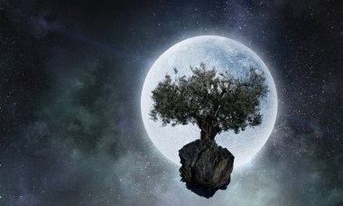 Yalnız ağaç kaya üstte. Karışık teknik