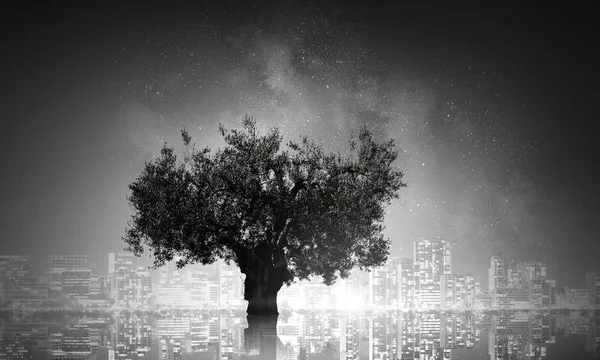 Albero solitario di notte — Foto Stock