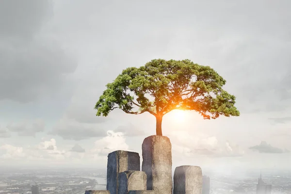 Albero solitario sulla cima della roccia. Mezzi misti — Foto Stock